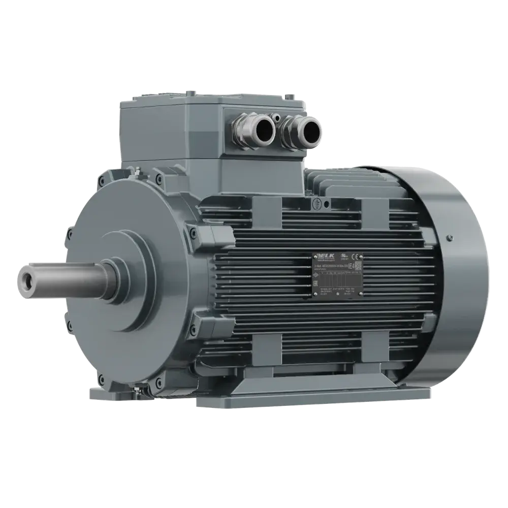 Ex-Proof Elektrik Motoru